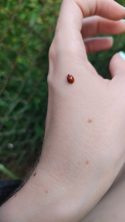 mavavi_music в LOOKY. . 🐞🥰