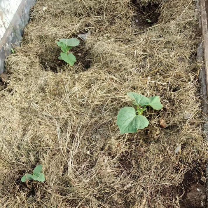 fedosenkovalp в LOOKY — фото 5
