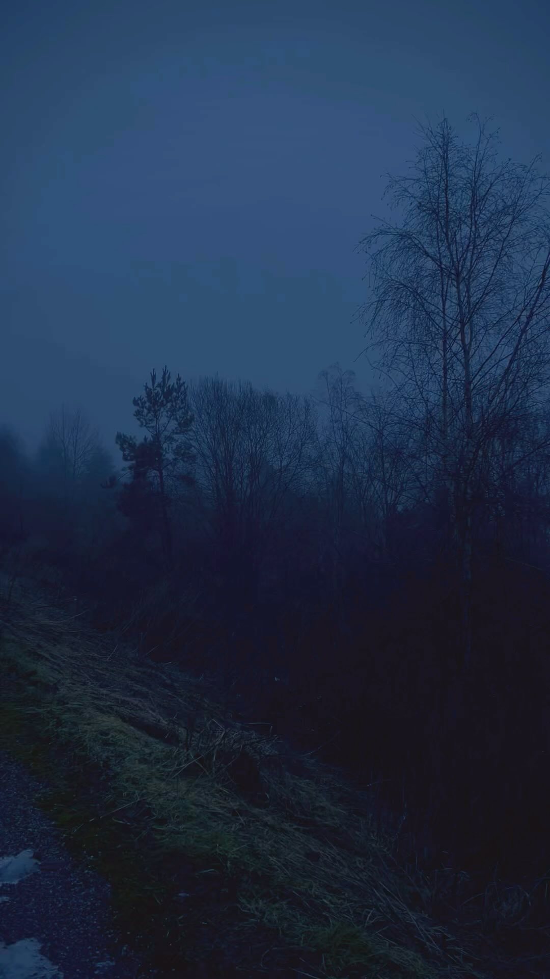 skrold_ в LOOKY. #ambient,#aesthetics,#vibe. #ambient #aesthetics...