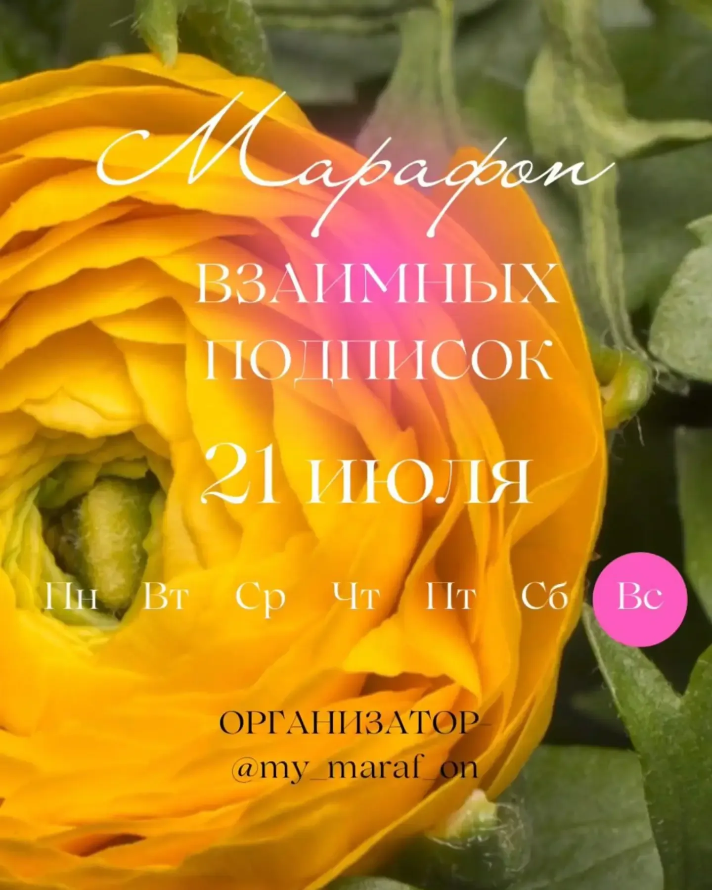teacher_tata_matveeva_58 в LOOKY. . 1 @alena_astroo 
2 @...