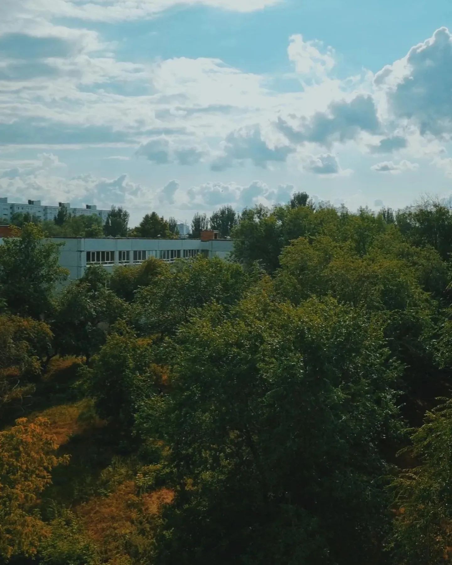_kitena_ в LOOKY — фото 3
