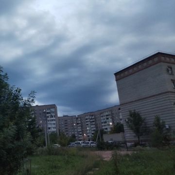 li.dzuman