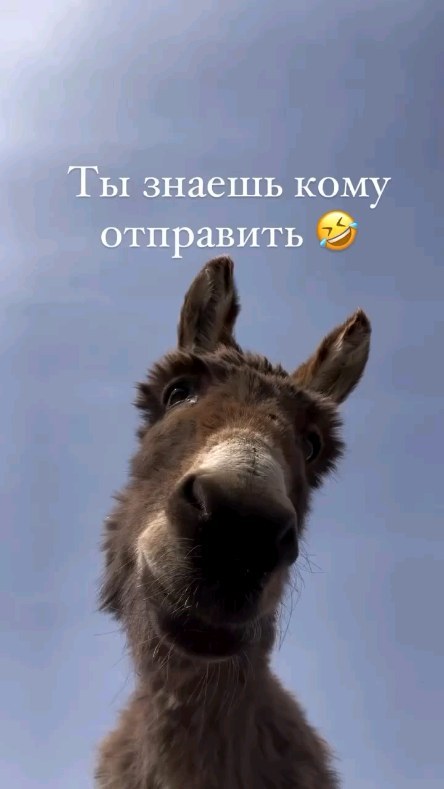 cool_firetvrus в LOOKY. . Можно вашу реакцию ❤...
