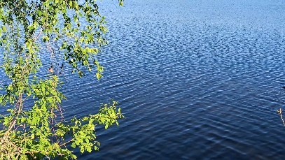 juriq92 в LOOKY. . null