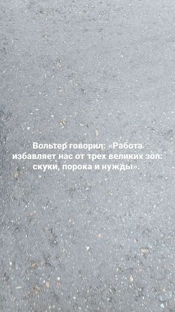 guzel_kuchiskaya в LOOKY. #работа. #работа