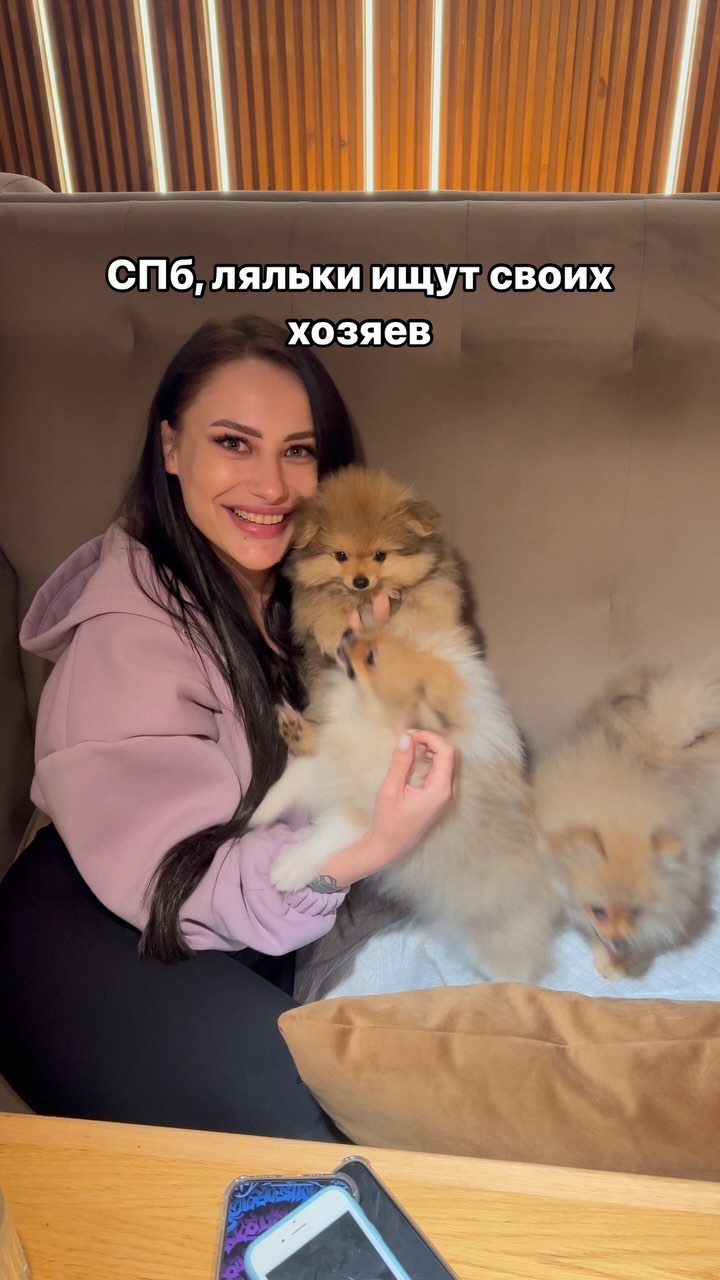 b.dsm.project in LOOKY. . Пиши в директ
