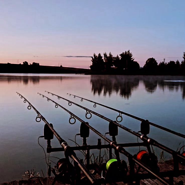 dream_fishing_kot_kitty в LOOKY. . null