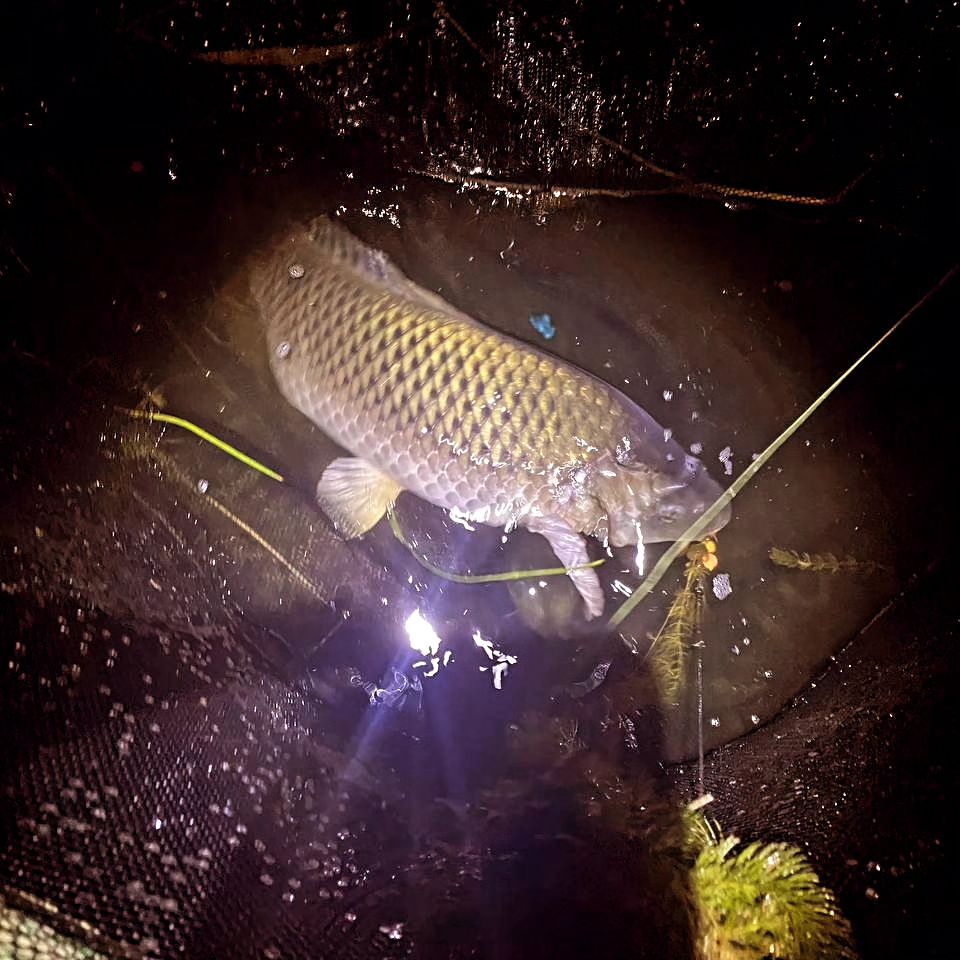 dream_fishing_kot_kitty в LOOKY — фото 4