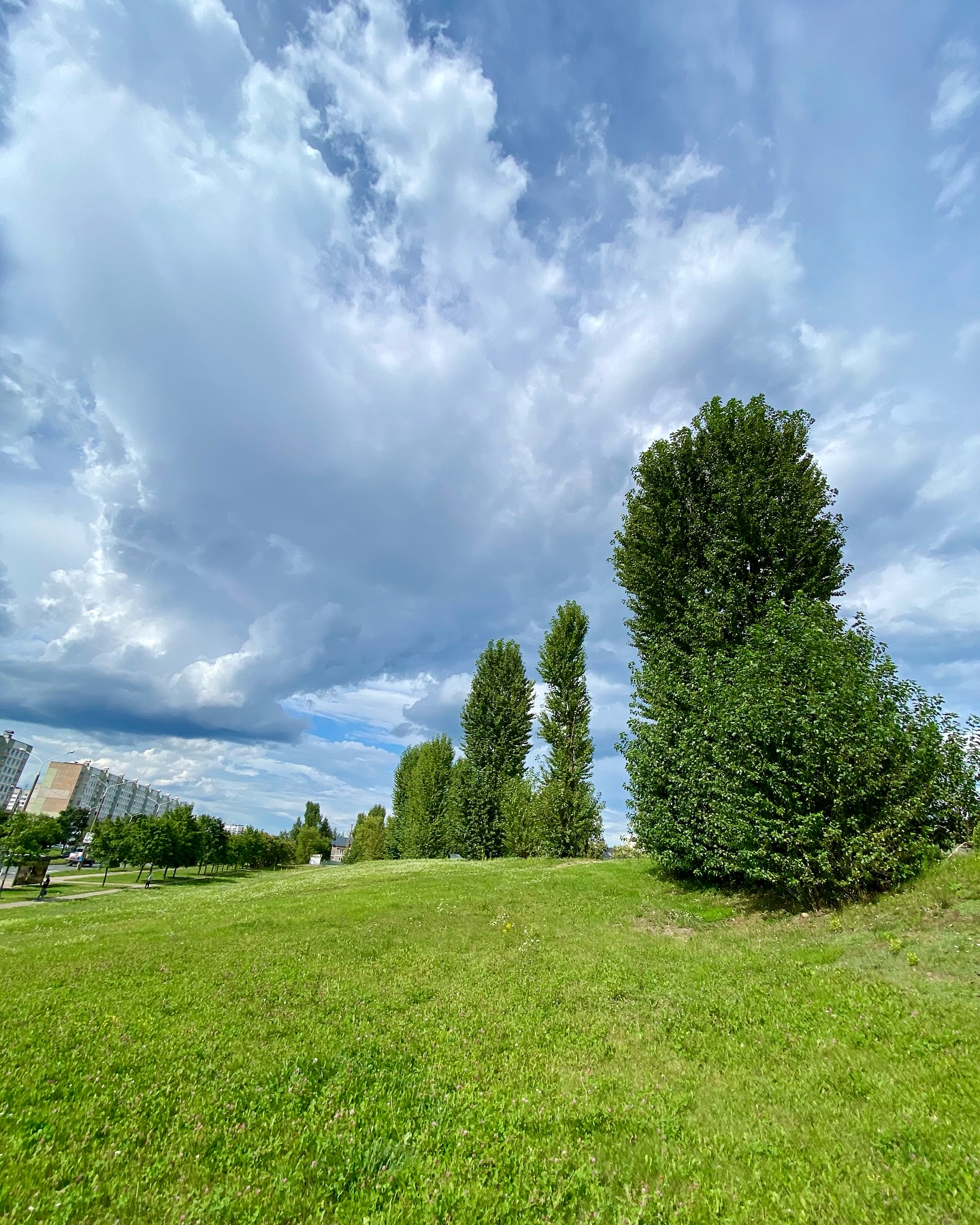 vladimir_krylovich в LOOKY. #лето,#природа,#погода,#облака,#облачность,#тополь,#зелень. #лето #природа #пого...