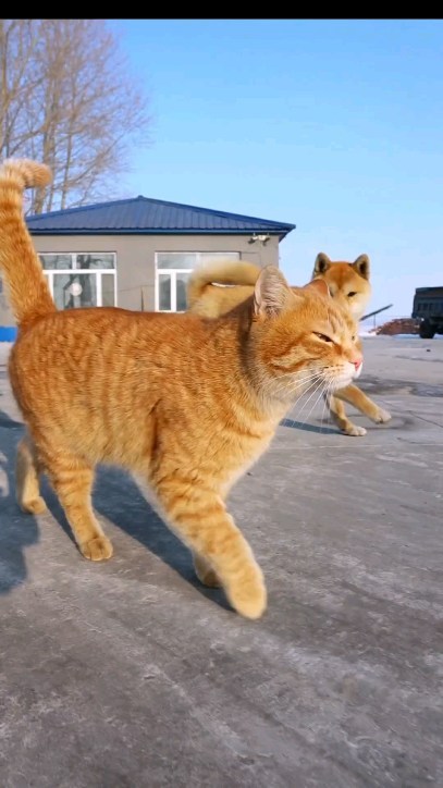 zodiak_v_panike в LOOKY. . Ну давай поиграем! �...