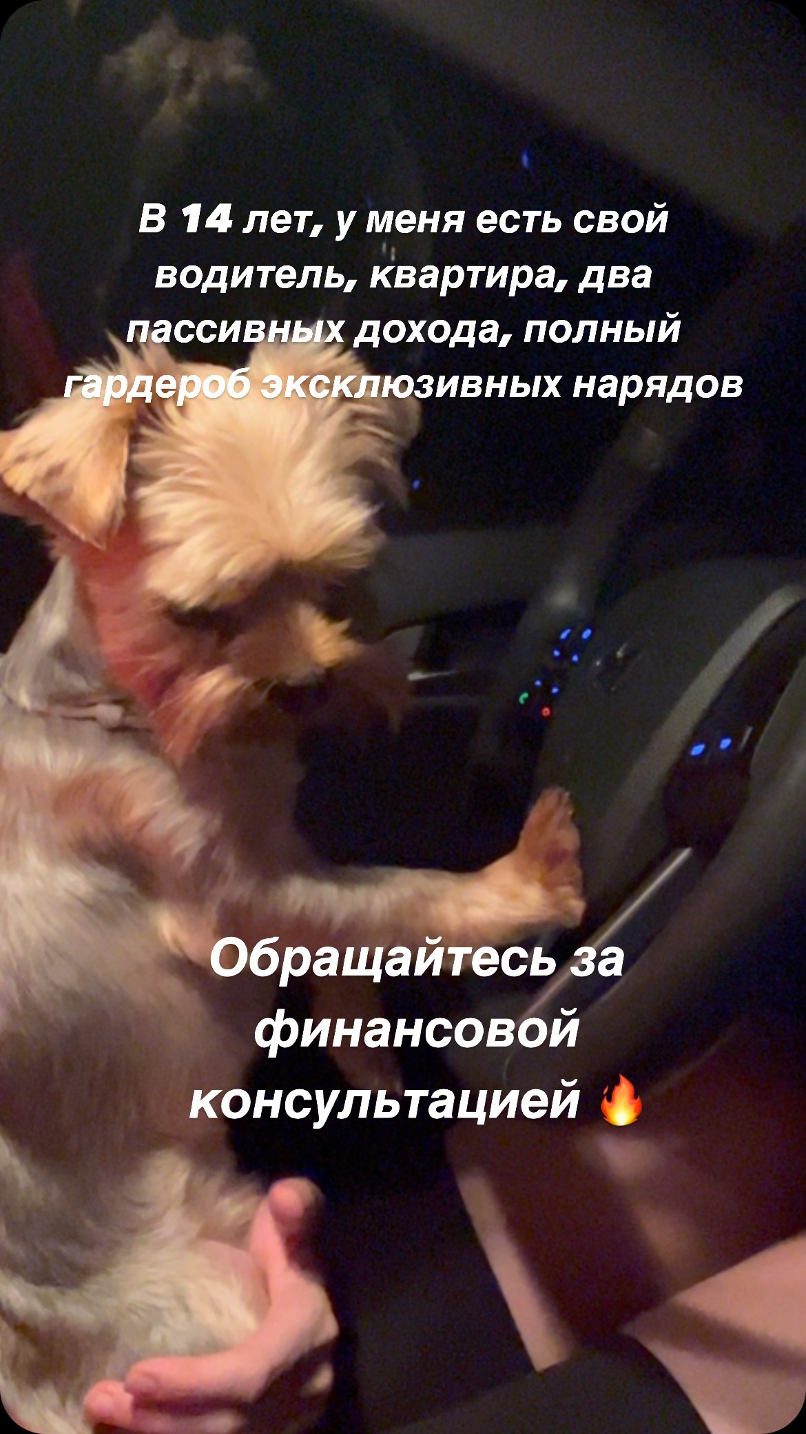 zuichek в LOOKY. #веchepoчек. #веchepoчек