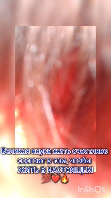 ilmira2110 в LOOKY. . null