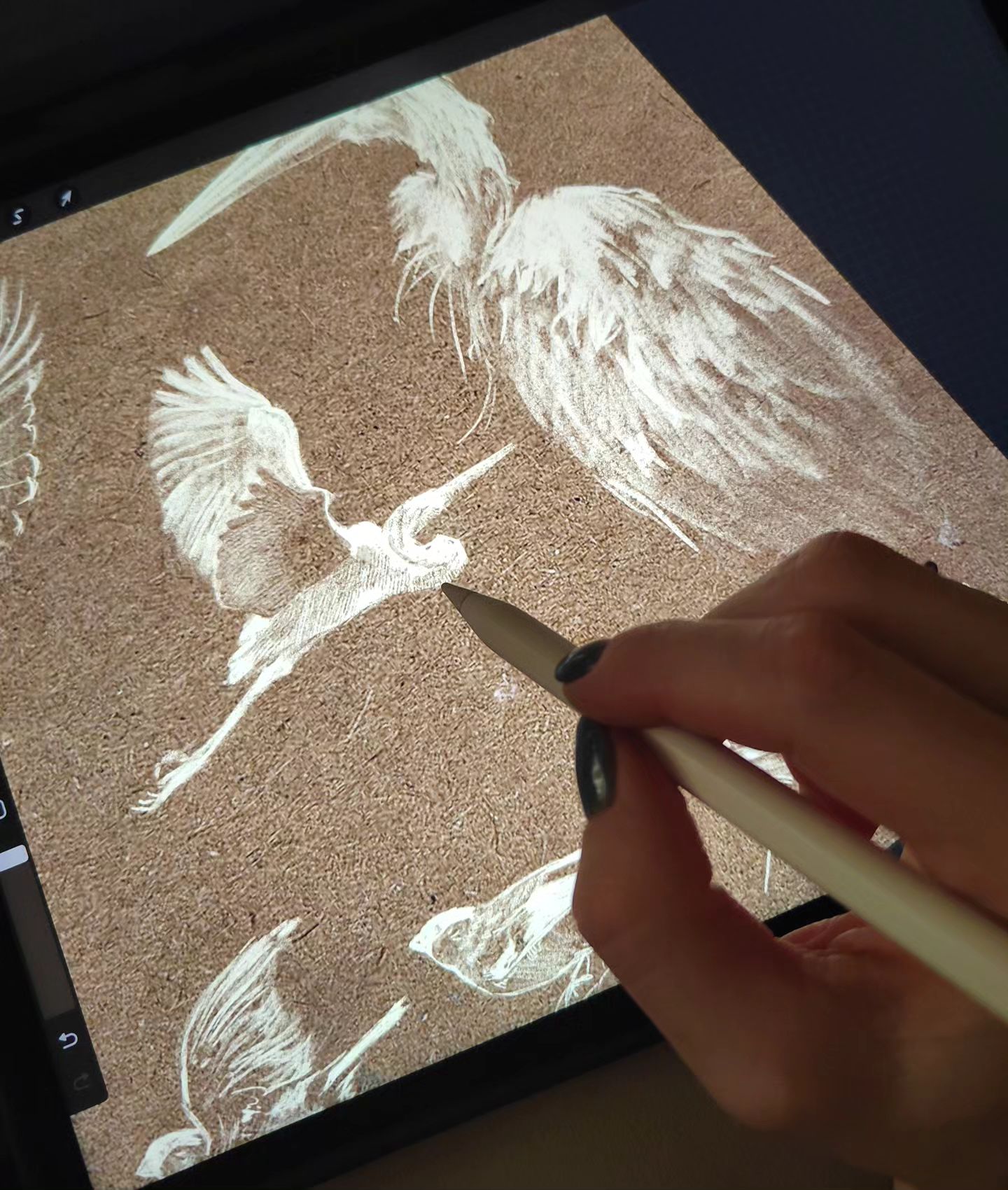 moremiron_art в LOOKY. #digital,#digitalmirstel,#digital_art,#illustration,#animalistic,#procreate,#digitaldrawing,#birds,#мирстель_дидж,#диджиталиллюстрация,#цифровойрисунок,#цифроваяжтвопись,#анималистика,#стилизация,#анималистическийжанр,#птицы,#птичкиневелички. Продолжу тему самора...