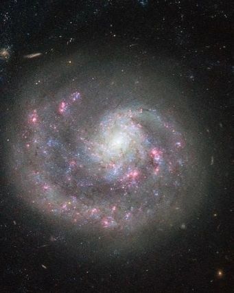 astrolesson в LOOKY. #NGC4625,#NGC4618.,#NGC4625.
Расстояние. По последним данным,...