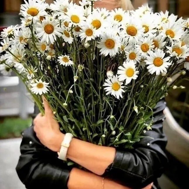 longinau в LOOKY. . Я не знаю, как прави...