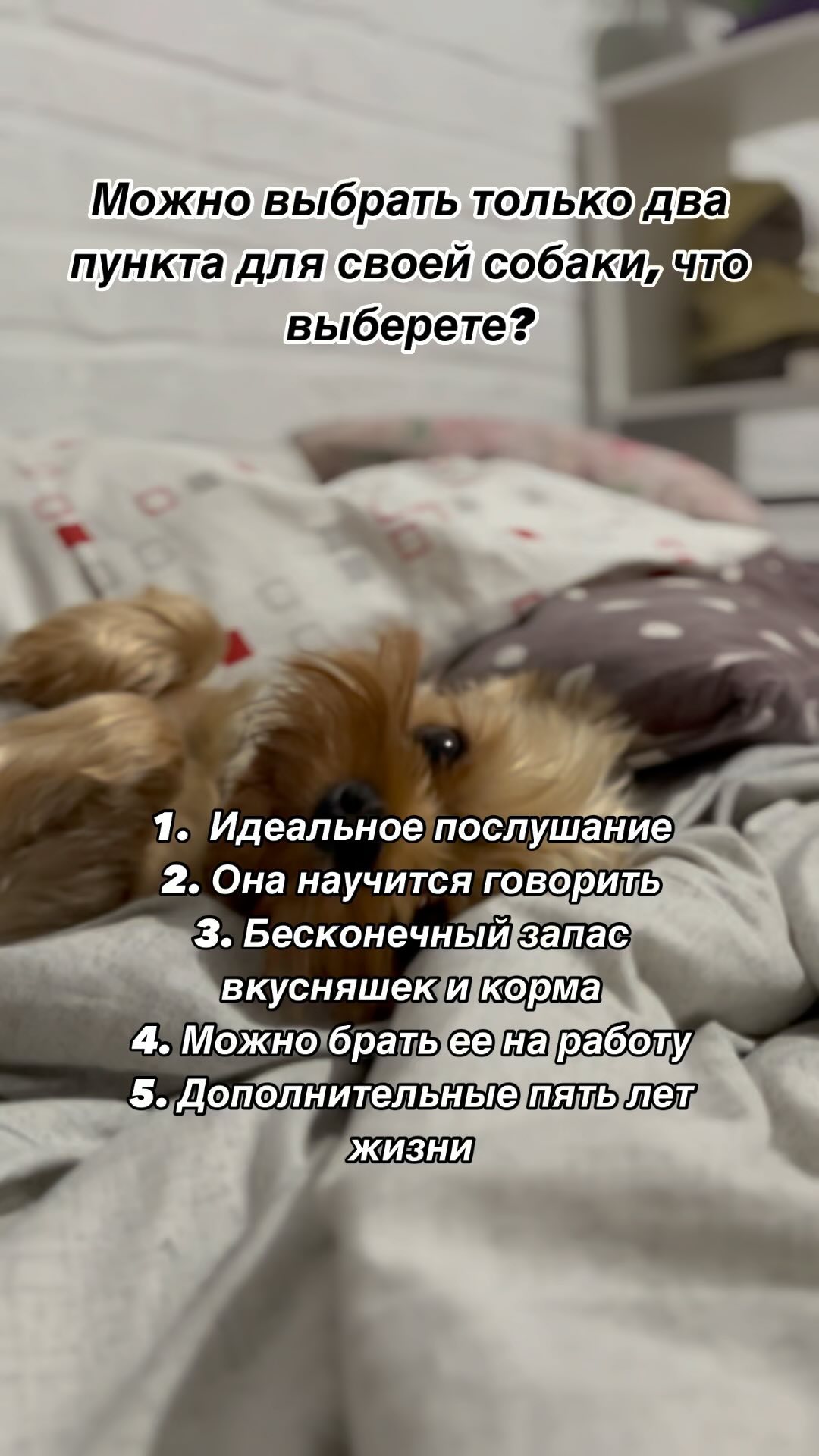 zuichek в LOOKY. #кopпyc,#gора,#фoта,#юллa. #кopпyc
#gора
#фoта
...