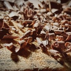 wood_mash