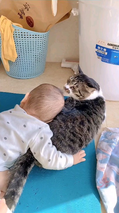 zodiak_v_panike в LOOKY. #cat,#cats,#котики,#дети. Любовь ❤️
#cat #cats...