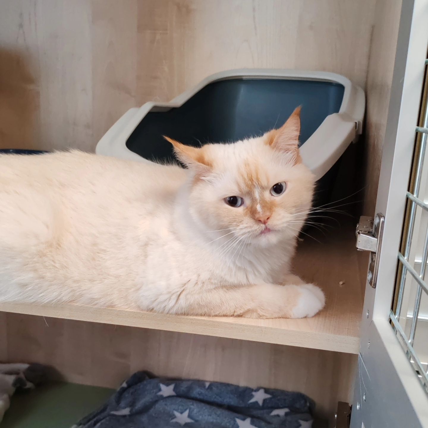 hotel_kotfelix в LOOKY — фото 3