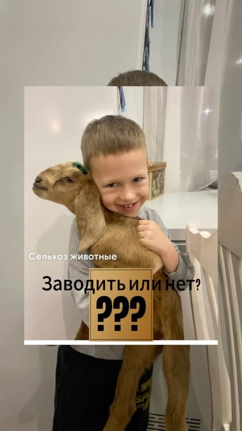 moya_zagorodnaya_zhizn в LOOKY. #экопродукция,#экоеда,#зож,#настоящаяеда,#жизньвдеревне,#сельхозпродукция,#сельхозхозяйство,#сельхозживотные,#мояжизнь,#мойвыбор. ЗАВОДИТЬ ИЛИ НЕ ЗАВО...