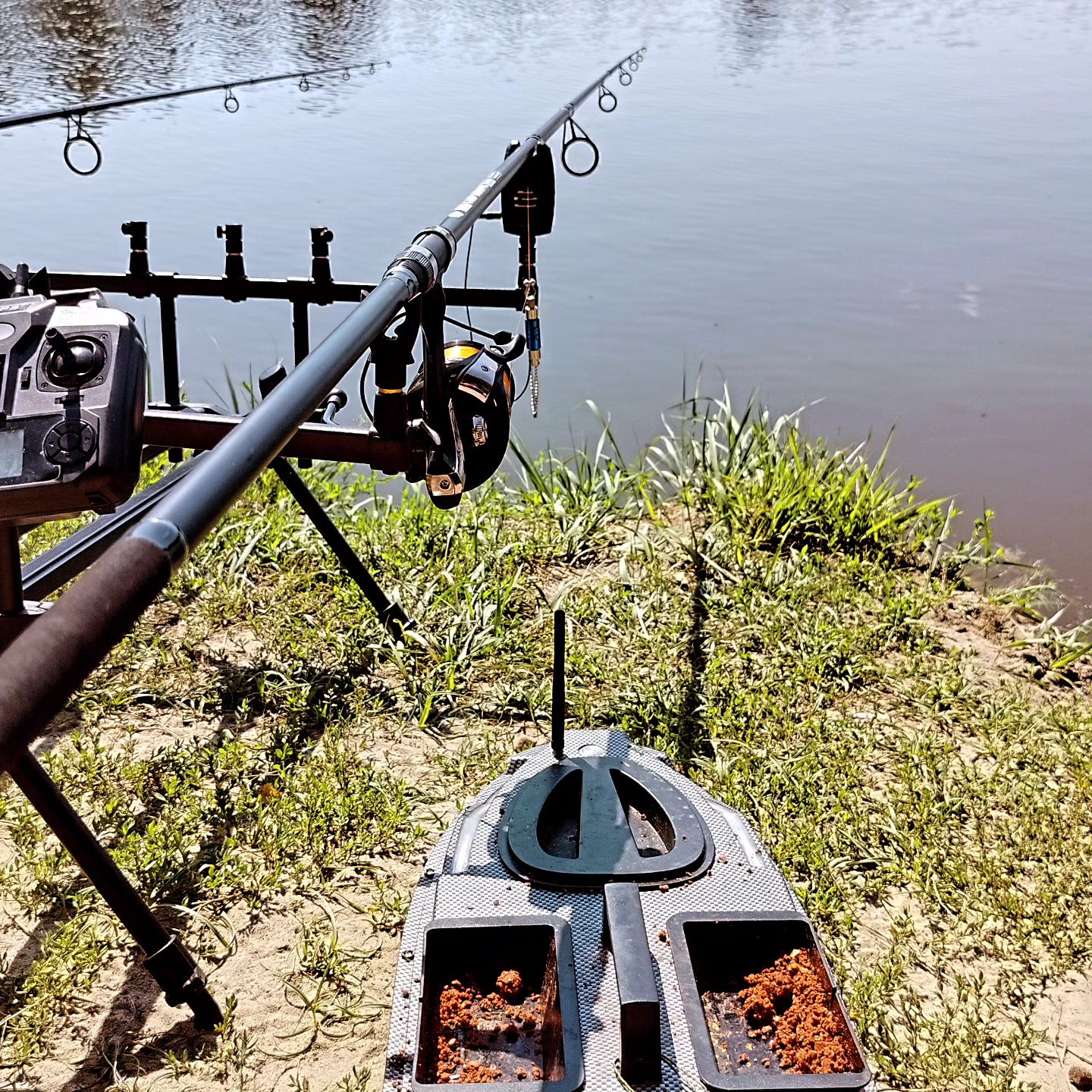 dream_fishing_kot_kitty в LOOKY. . null