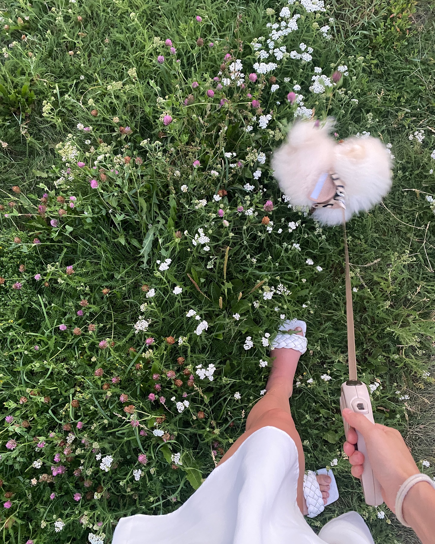 ekaterina__pro в LOOKY. . Июль💛