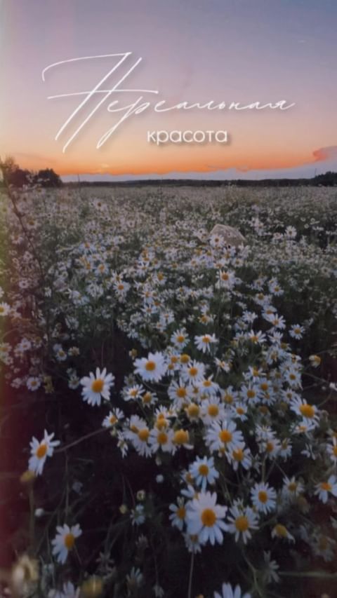 mariia.bazhina в LOOKY. . null