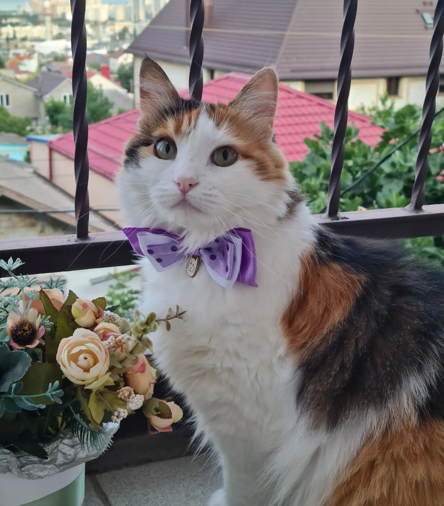 zlata_help в LOOKY. #фейскотроль_бони,#кошачьяжизнь,#инстакошка,#petsofinstagram. Всем хелоу 😻🩷🩷🩷
...