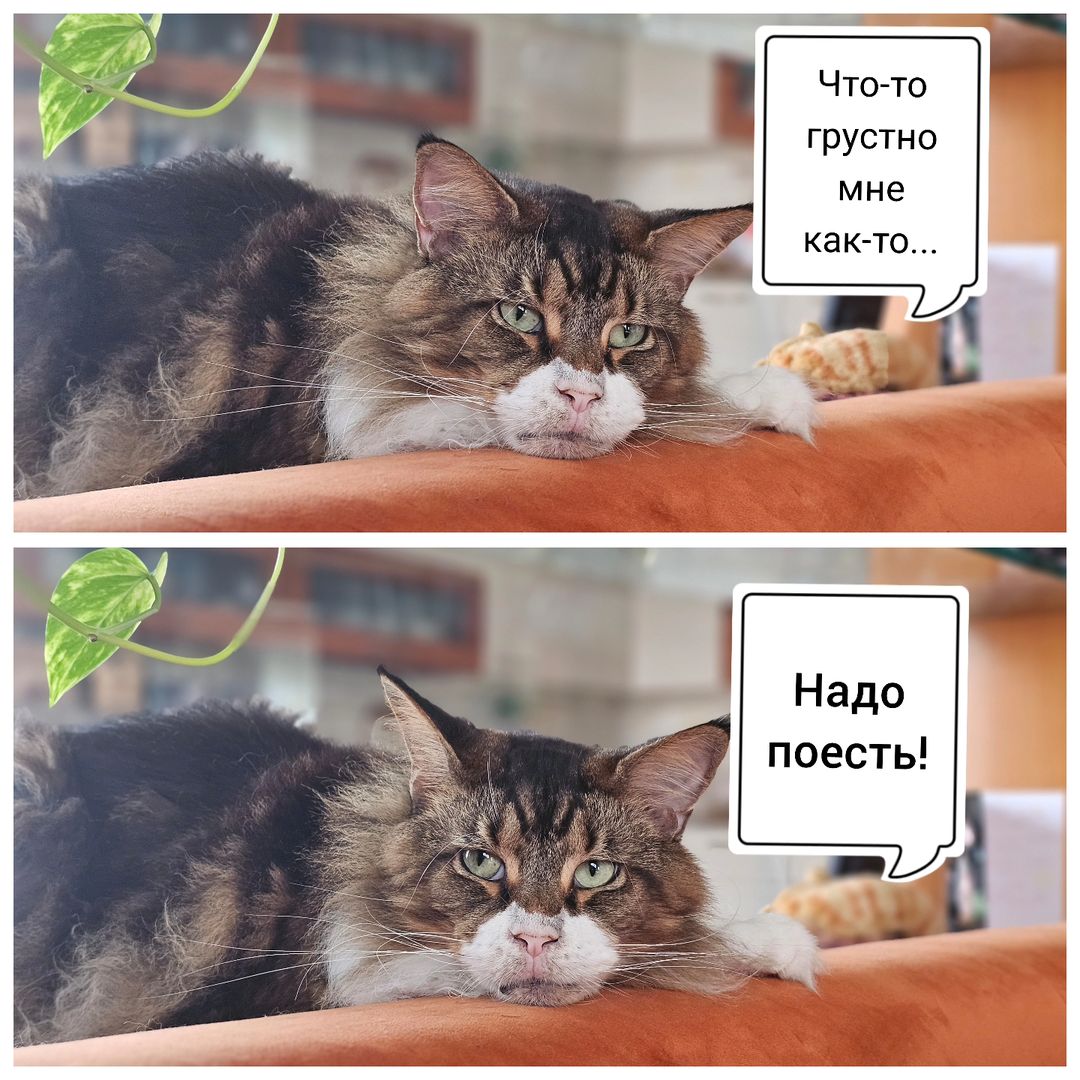 alexey_vasiliev_voice в LOOKY. #СубботнийWonder. Давненько у нас не б...