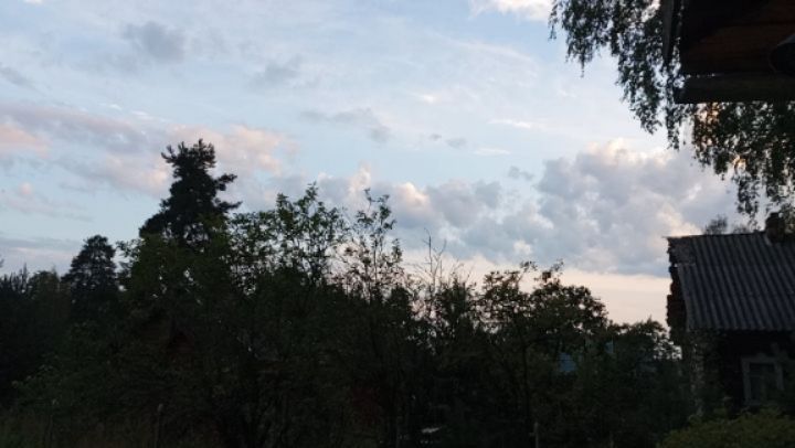 petrovblog в LOOKY. #деревня,#вечер,#передгрозой,#кузнечики,#небо,#красиво,#загороднаяжизнь,#село,#жизньвдеревне. Чудесное небо перед ...