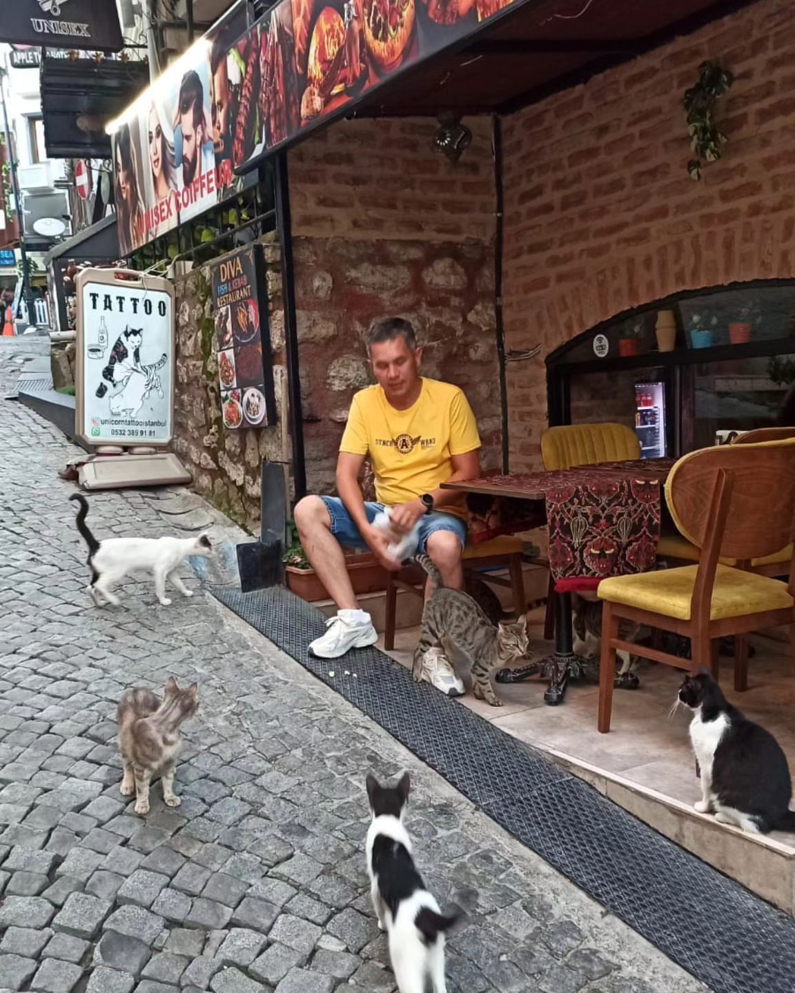 bikmuhametov в LOOKY. . Стамбул -город кошек