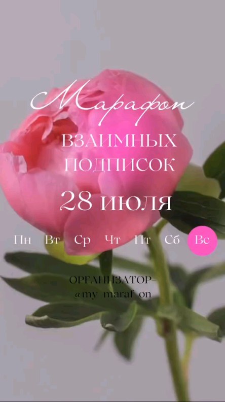 teacher_tata_matveeva_58 в LOOKY. . 1 @alena_astroo 
2 @...