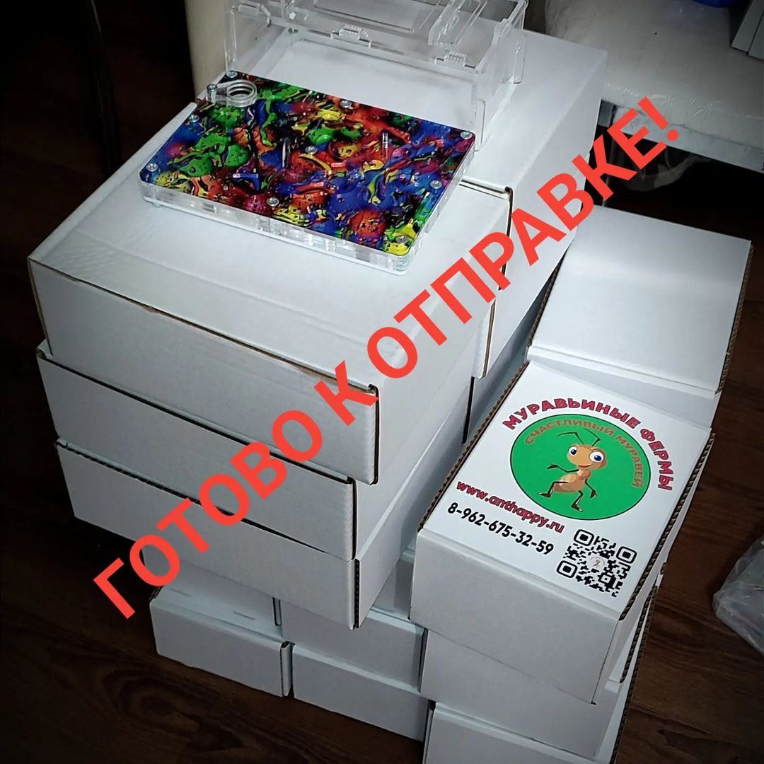 ant_happy_27 в LOOKY. . Ещё одна партия гото...