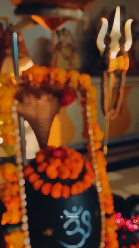 tz_desi_back в LOOKY. #trendingnow,#viralvideo,#following,#shivbhakt,#. Har har Mahadev 🔱📿...