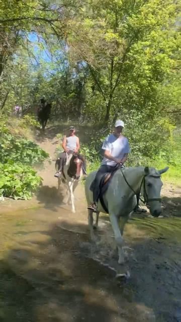 katesadchikova в LOOKY. . Конная прогулка в с....