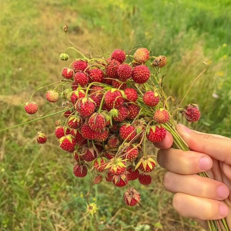 longinau в LOOKY. . Как быстро ты бежишь...