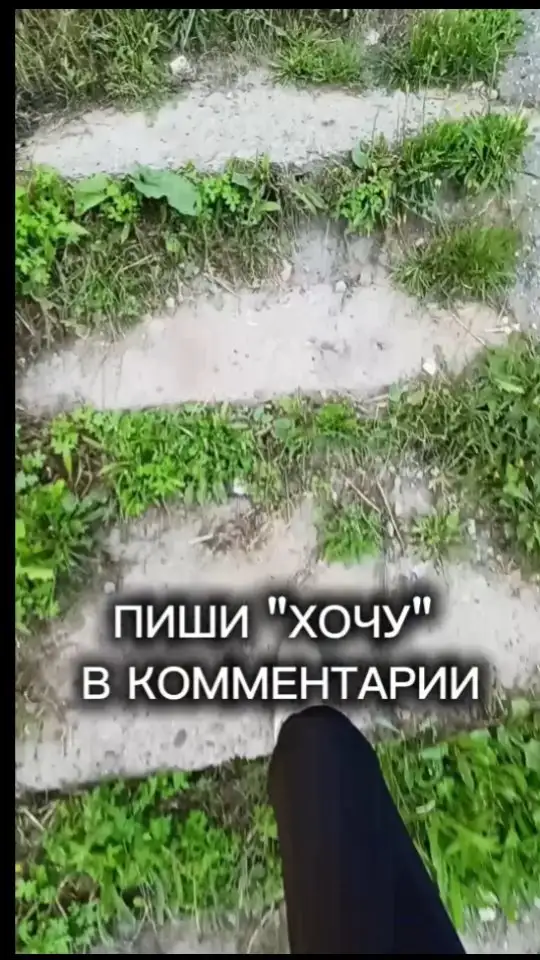 aidarybina в LOOKY. #альфа,#проект,#деньги,#доход. Когда увидела доходы...