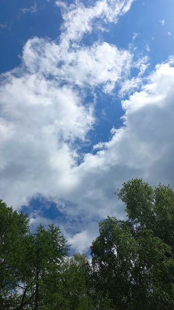 podarokabakan в LOOKY. . Не беги....постой......