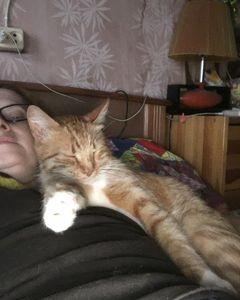 yakovaleksandrovich in LOOKY. #котикилучшелюдей,#котикитакиекотики,#котикинаркотики,#котикиправятмиром,#яша,#мыизкотограма. Бобрейшего вечерочка...