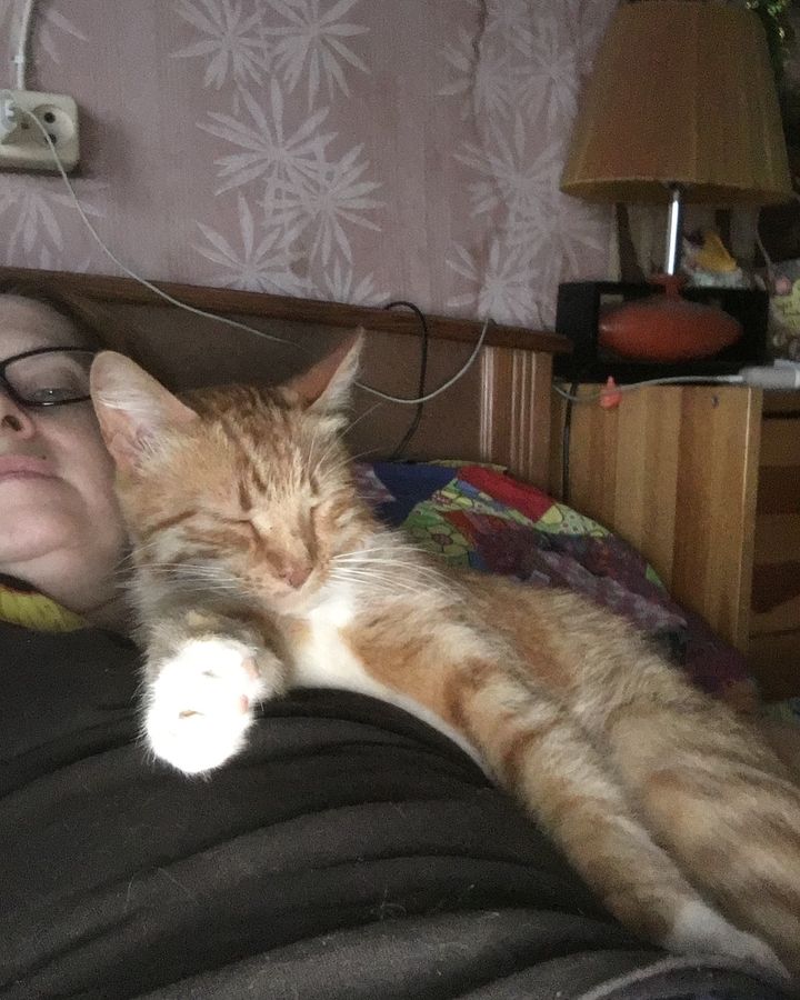 yakovaleksandrovich в LOOKY. #котикилучшелюдей,#котикитакиекотики,#котикинаркотики,#котикиправятмиром,#яша,#мыизкотограма. Бобрейшего вечерочка...
