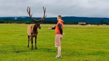 __victory_m в LOOKY. . null