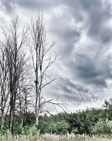 foto.furmanov.plus
