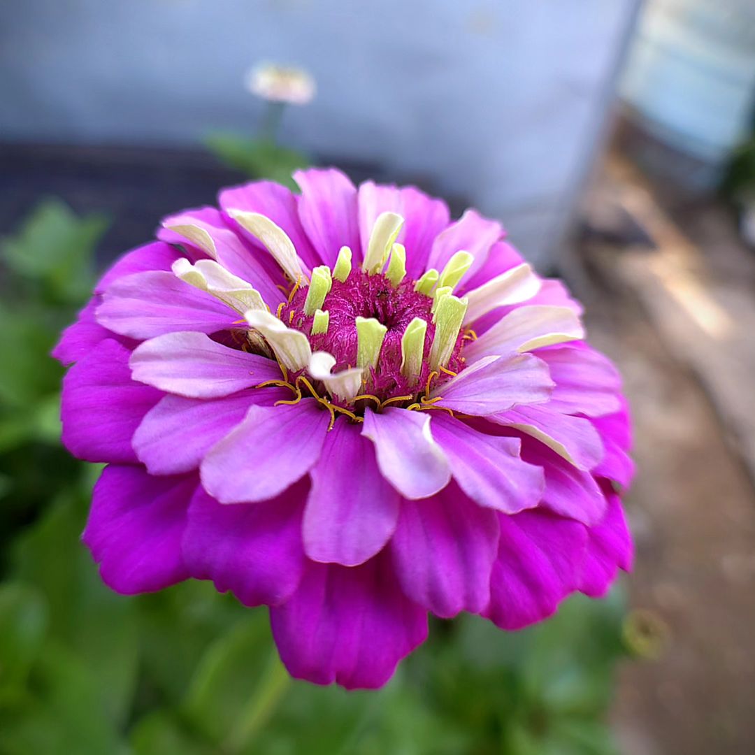 marika.sh в LOOKY. . null