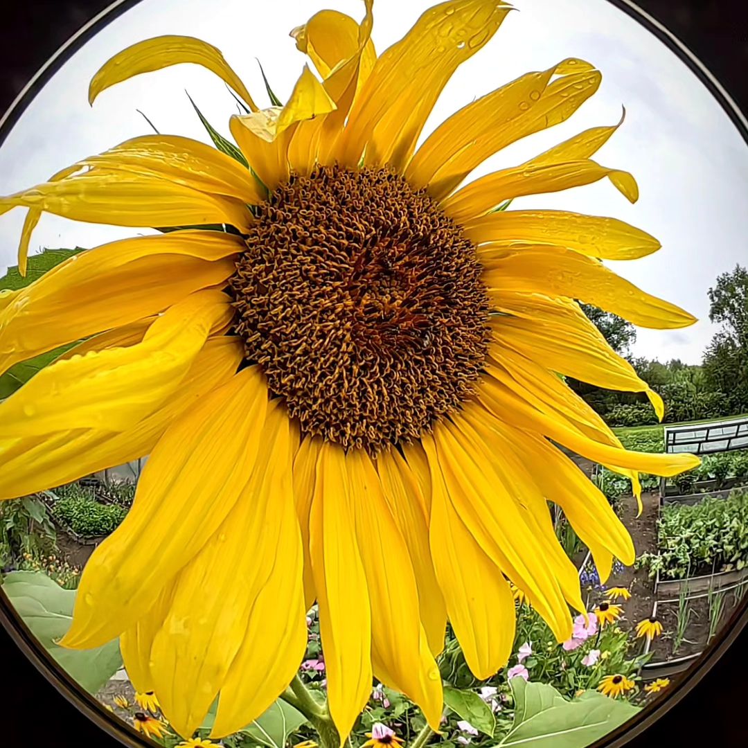 marika.sh в LOOKY. . null