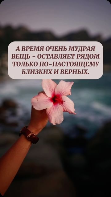 tanya_facele в LOOKY. . null