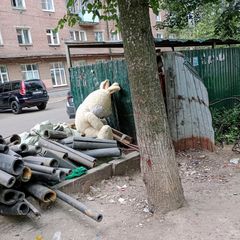 blondjustblond в LOOKY — Зайку бросила хозяйка...