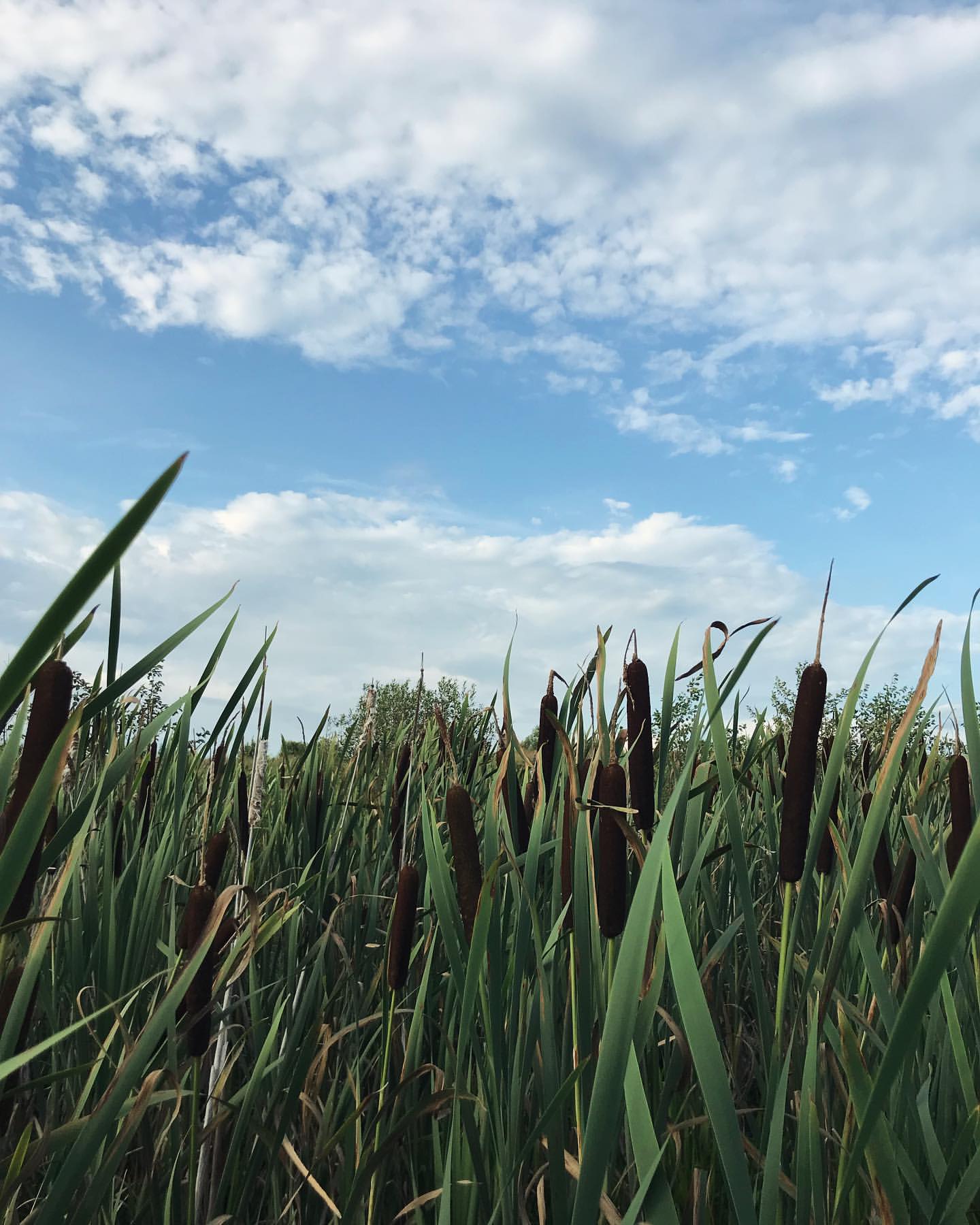 _zoika_zaika_ в LOOKY — фото 14