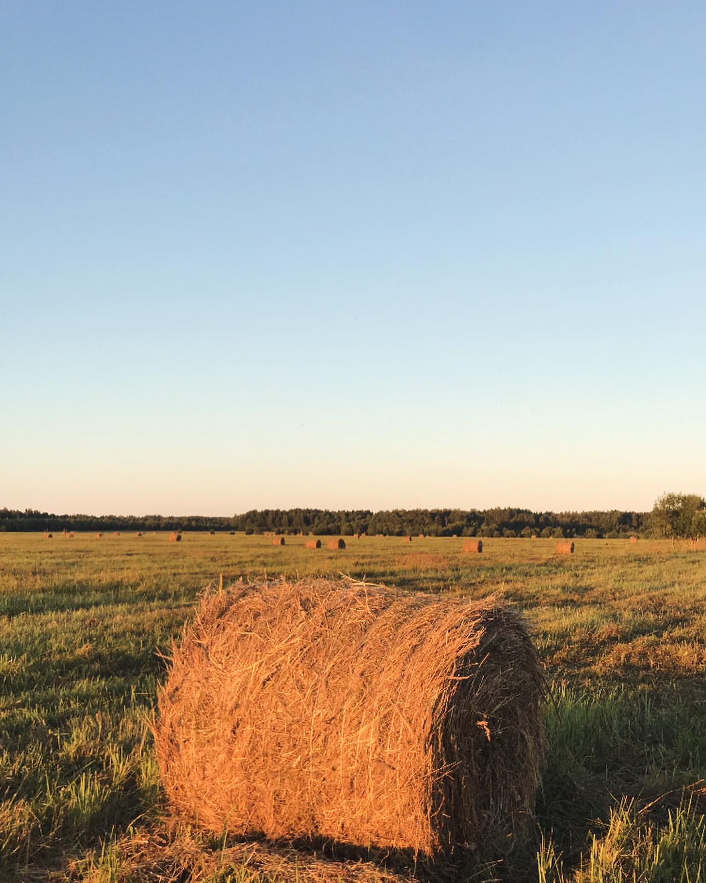 _zoika_zaika_ в LOOKY — фото 3