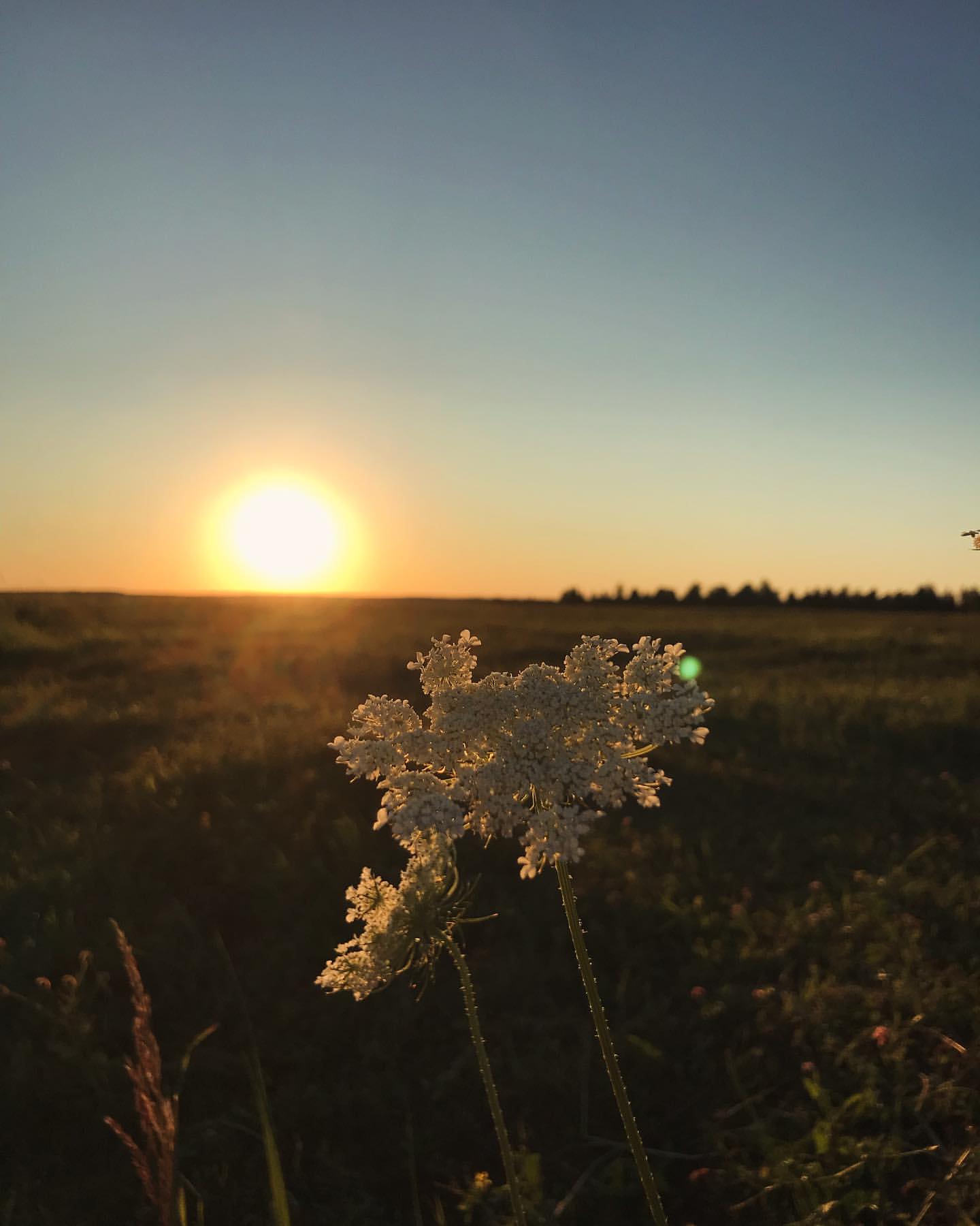 _zoika_zaika_ в LOOKY — фото 5