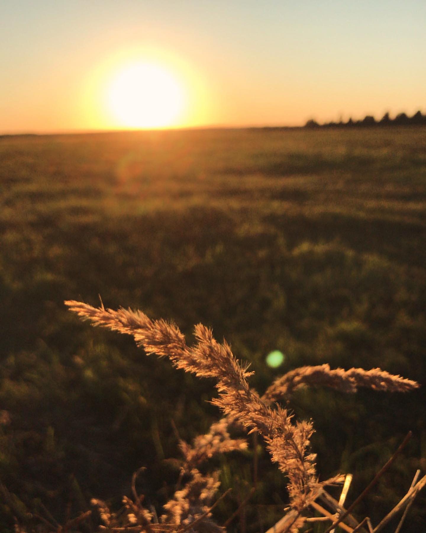 _zoika_zaika_ в LOOKY — фото 1